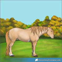 Horse Color:Chestnut Pearl Tobiano