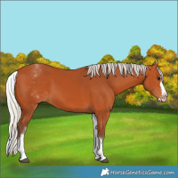Horse Color:White Spotted Silver Bay Splash 