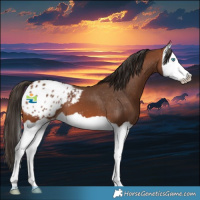 Horse Color:Bay Splash Blanket 