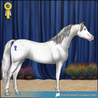 Horse Color:Gray Silver Amber Champagne Roan Splash Near Leopard 