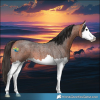 Horse Color:Bay Roan Splash 