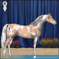 Horse Color:White Spotted Silver Sable Champagne 