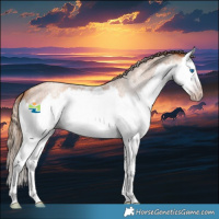 Horse Color:Gray Gold Champagne Roan Splash 