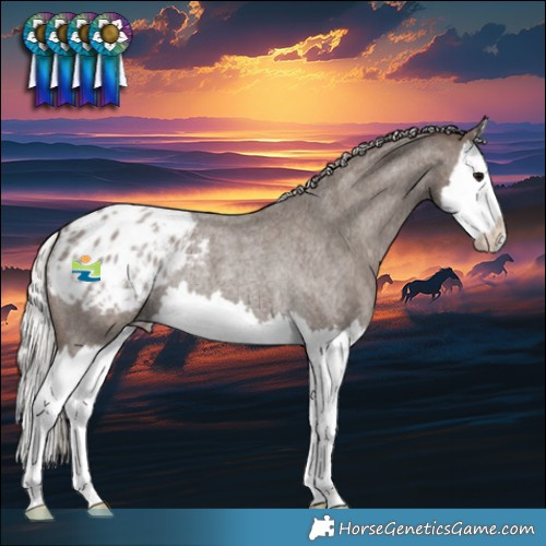 Horse Color:Silver Blue Roan Splash Appaloosa Rabicano 