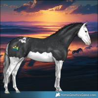 Horse Color:Black Splash Varnish 