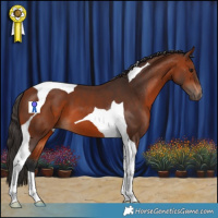 Horse Color:Bay Tobiano 