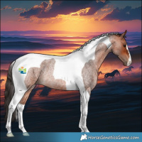Horse Color:Bay Roan Tobiano Rabicano