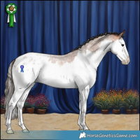 Horse Color:Bay Roan Splash Appaloosa Rabicano