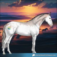 Horse Color:Bay Roan Splash Blanket Rabicano