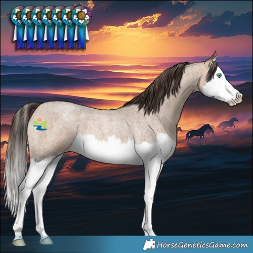 Horse Color:Amber Champagne Roan Splash 