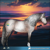 Horse Color:Gray Bay