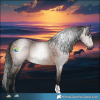 Horse Color:Gray Bay 