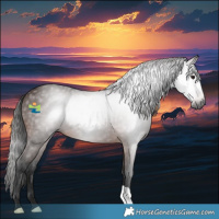 Horse Color:Gray Bay 