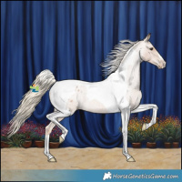 Horse Color:Red Roan Tobiano Varnish 