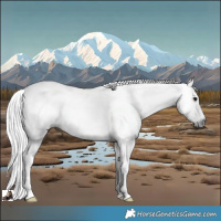 Horse Color:Gray Black 