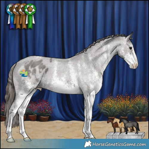 Horse Color:White Spotted Grullo Appaloosa 
