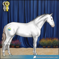 Horse Color:Bay Dun Varnish 