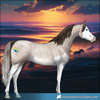 Horse Color:Classic Champagne Roan Splash 