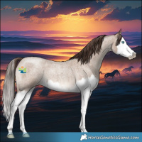 Horse Color:Classic Champagne Roan Splash