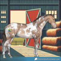 Horse Color:White Spotted Amber Champagne 