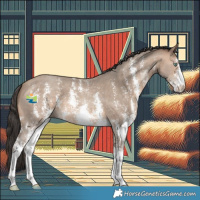 Horse Color:Sable Champagne Sabino 