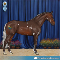 Horse Color:White Spotted Silver Brown Tobiano 
