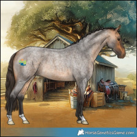 Horse Color:Buckskin Roan 