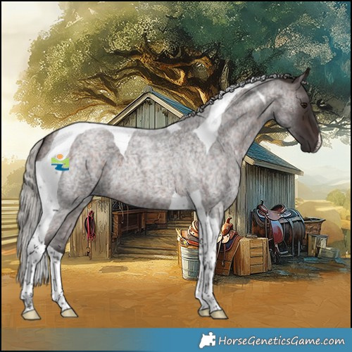 Horse Color:Silver Brown Roan Tobiano 