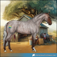 Horse Color:Silver Brown Roan 