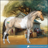 Horse Color:Buckskin Roan Tobiano 