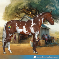 Horse Color:White Spotted Silver Brown 