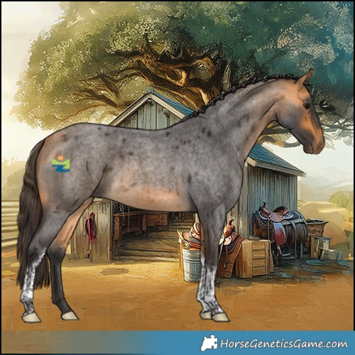 Horse Color:Buckskin Roan Tobiano 