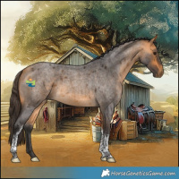 Horse Color:Buckskin Roan Tobiano 