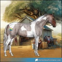 Horse Color:Silver Brown Roan Tobiano 