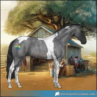 Horse Color:Brown Roan Tobiano 