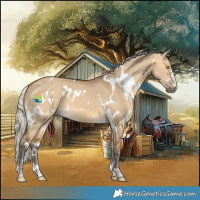Horse Color:White Spotted Silver Buckskin Dun