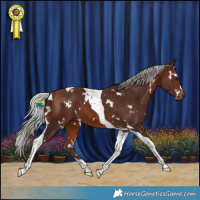 Horse Color:White Spotted Silver Brown Tobiano