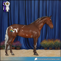 Horse Color:White Spotted Silver Brown Rabicano 