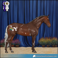 Horse Color:White Spotted Silver Brown Rabicano