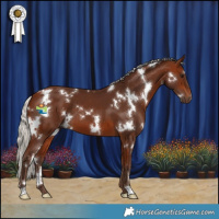 Horse Color:White Spotted Silver Bay 