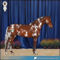 Horse Color:White Spotted Silver Bay 