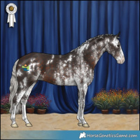 Horse Color:White Spotted Silver Brown 