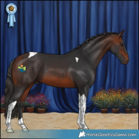 Horse Color:Bay Tobiano 