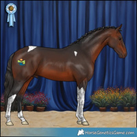 Horse Color:Bay Tobiano 