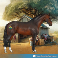 Horse Color:Bay 
