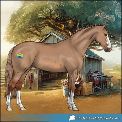 Horse Color:Red Dun 