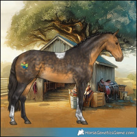 Horse Color:Buckskin Tobiano