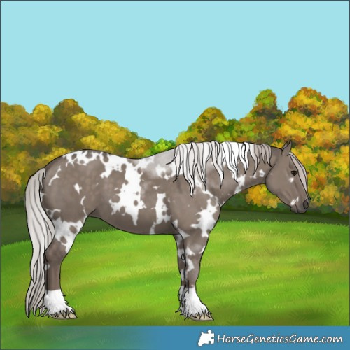Horse Color:White Spotted Silver Grullo Mushroom 