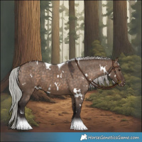 Horse Color:White Spotted Silver Brown Dun Tobiano Appaloosa 