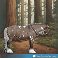 Horse Color:White Spotted Silver Brown Dun Tobiano Appaloosa 